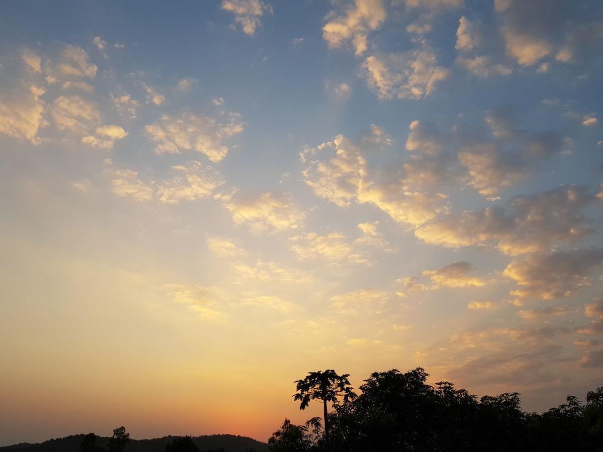 Hiran Holidays Sasan Gir Extérieur photo