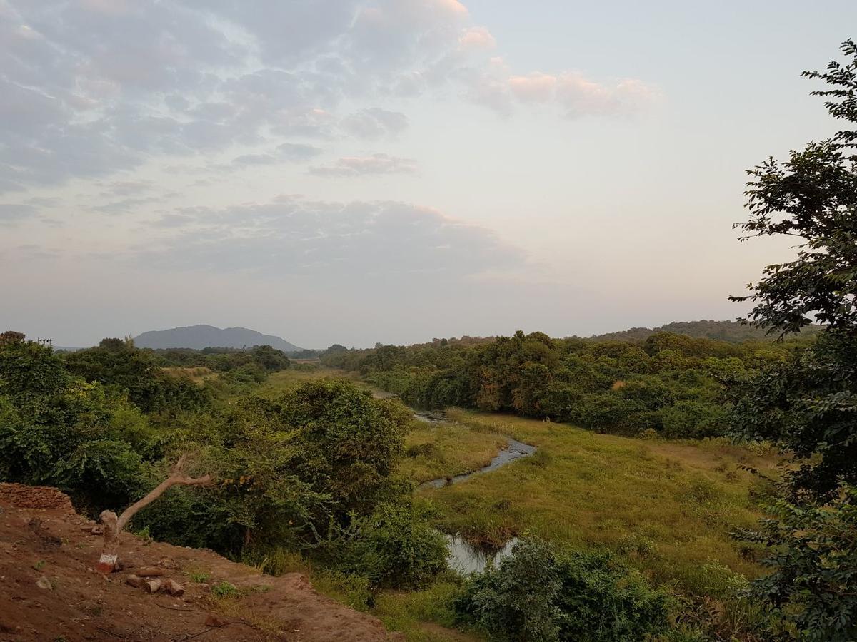 Hiran Holidays Sasan Gir Extérieur photo